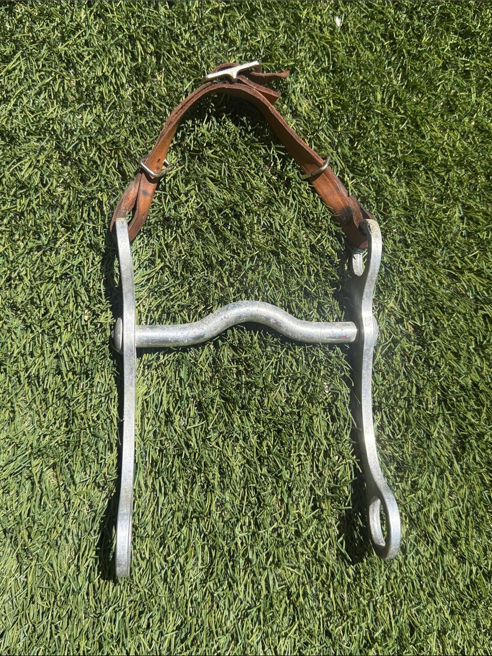 Western Horse Bit with Leather Cheek Strap - Silver Tone, Brown Strap